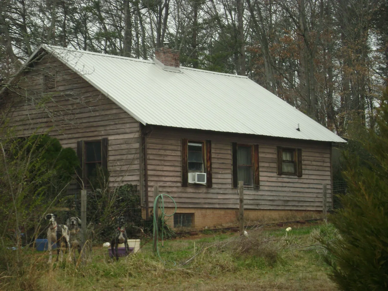 White metal roof on an old wood sided farmhouse, from a Asphalt Shingle Roof Repair job in Delavan